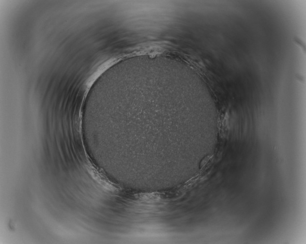 X0000101680100200807171421