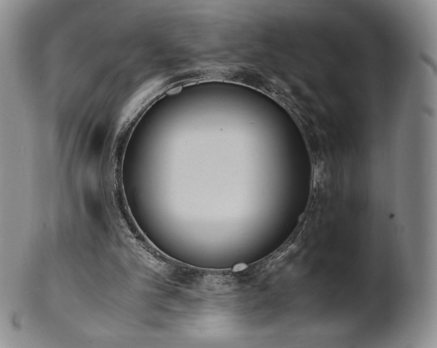 X0000101680101200807171421