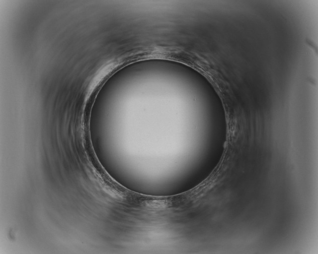 X0000101680102200807171421