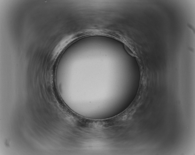 X0000101680103200807171421