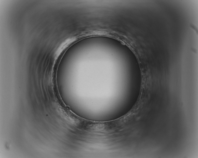 X0000101680104200807171421