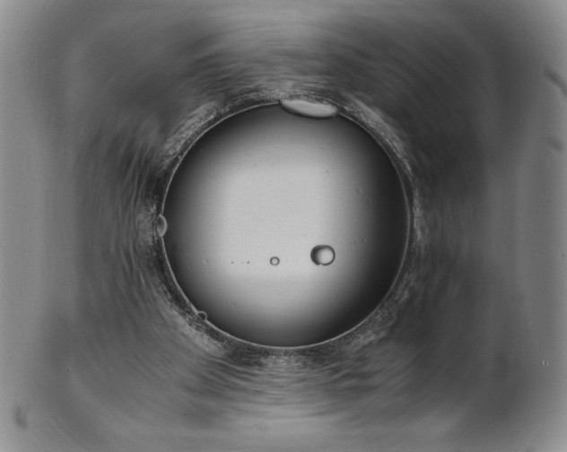 X0000101680105200807171421