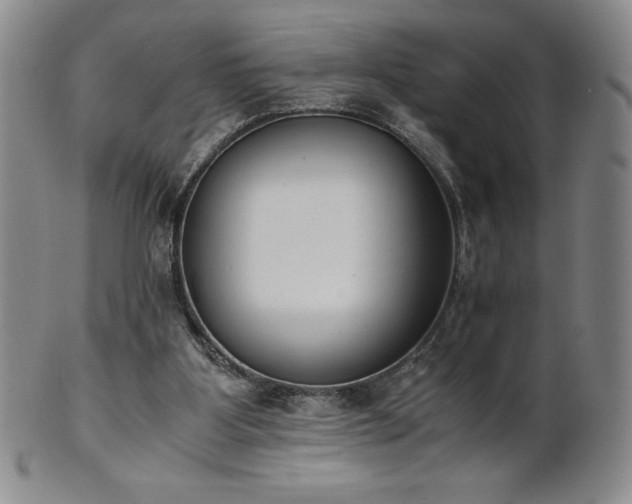 X0000101680107200807171421