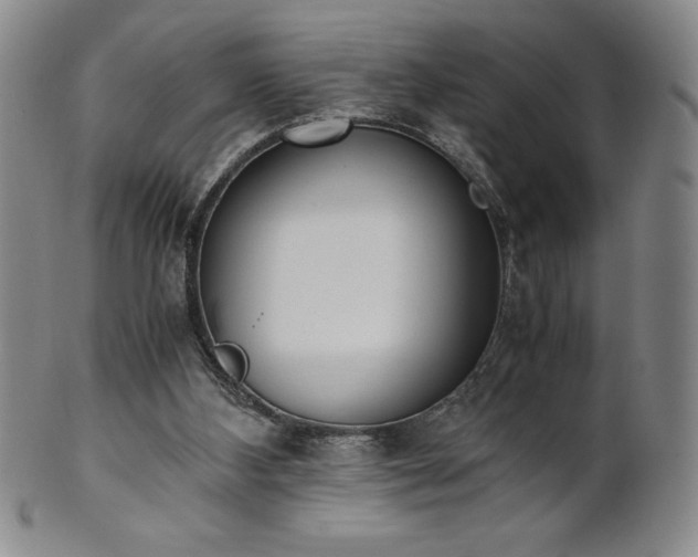 X0000101680108200807171421