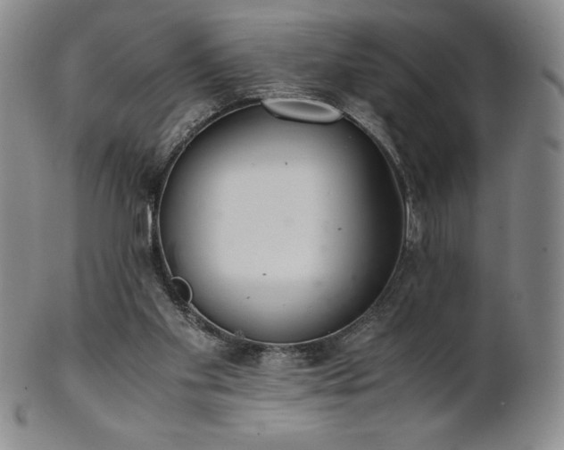 X0000101680109200807171421