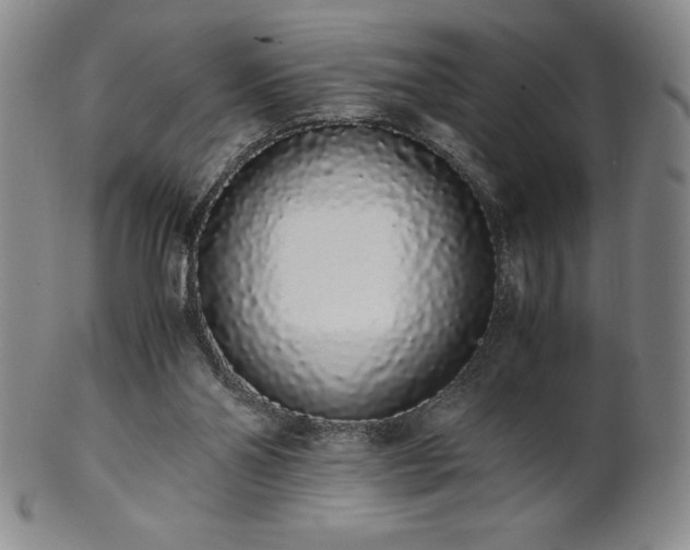 X0000101680110200807171421