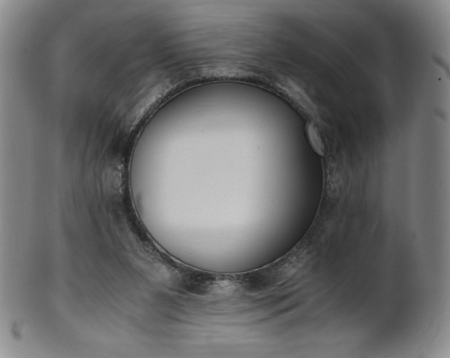 X0000101680111200807171421