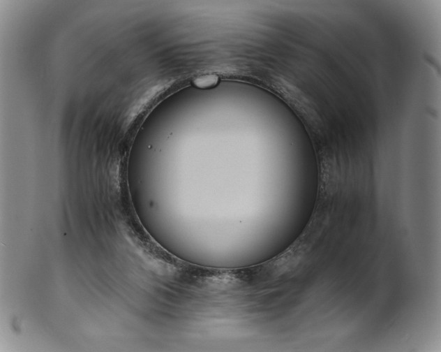 X0000101680112200807171421