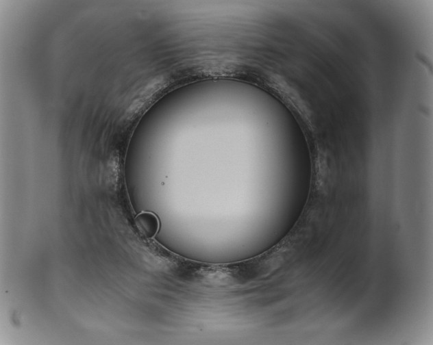 X0000101680113200807171421