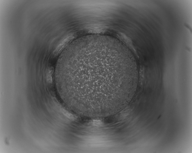 X0000101680114200807171421