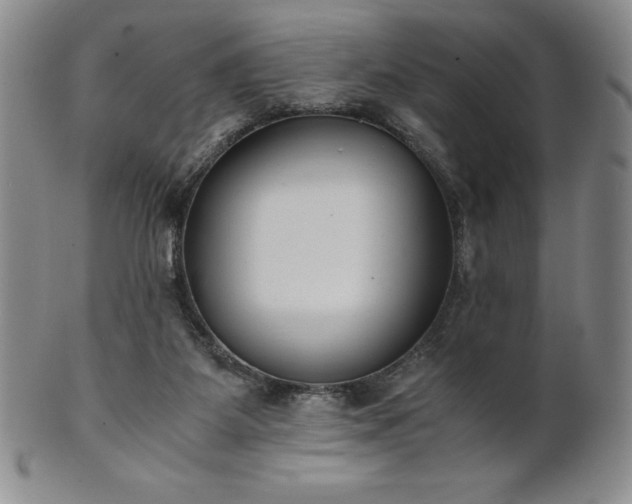 X0000101680115200807171421