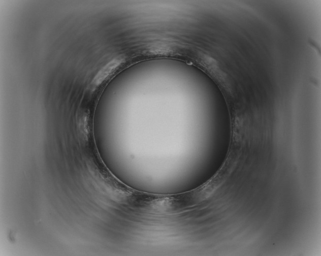 X0000101680116200807171421