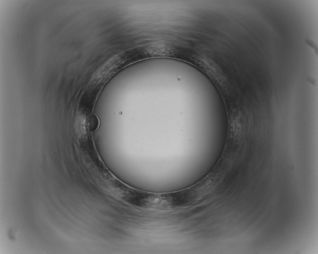 X0000101680117200807171421