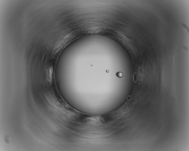 X0000101680118200807171421