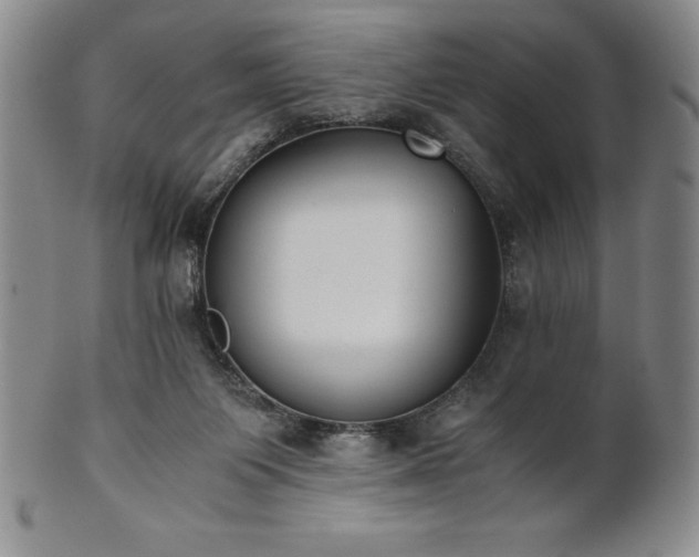 X0000101680119200807171421