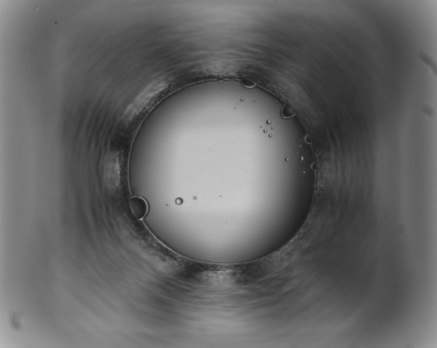 X0000101680120200807171421