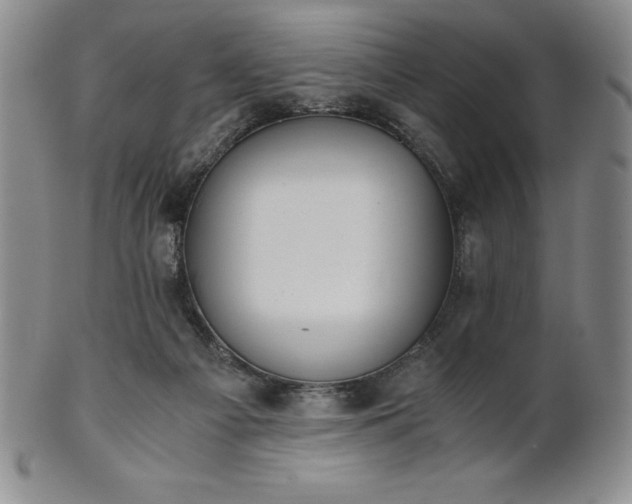 X0000101680121200807171421