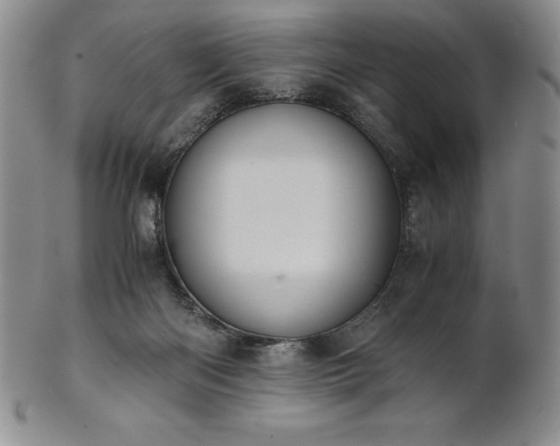 X0000101680122200807171421