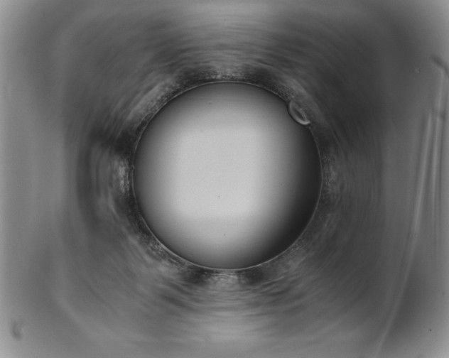 X0000101680123200807171421