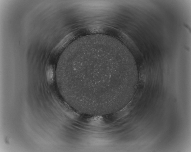 X0000101680124200807171421