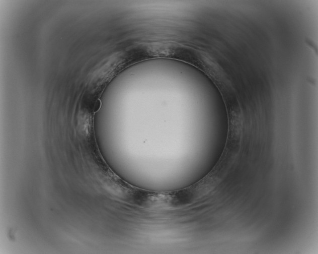 X0000101680125200807171421