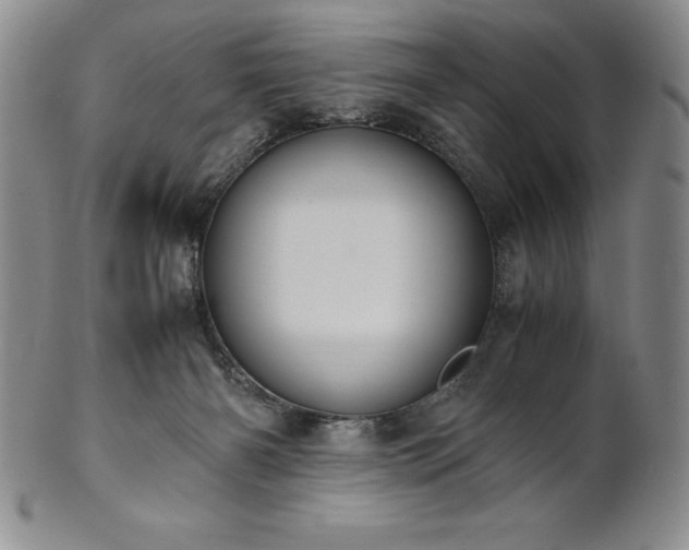 X0000101680126200807171421