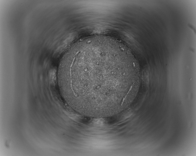 X0000101680127200807171421