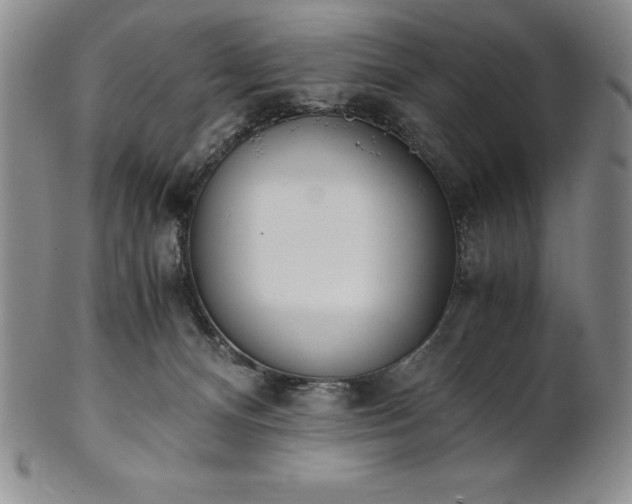 X0000101680128200807171421