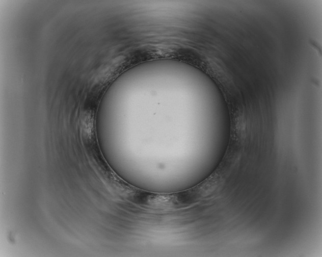 X0000101680129200807171421