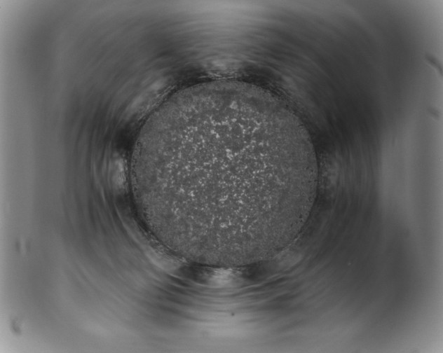 X0000101680130200807171421