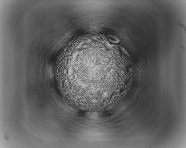 X0000101680131200807171421