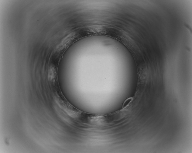 X0000101680132200807171421