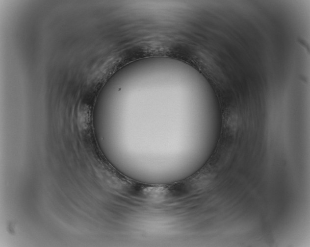 X0000101680133200807171421