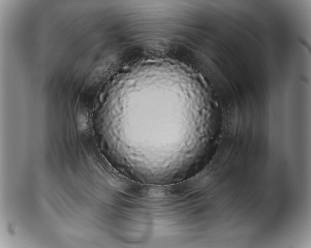 X0000101680134200807171421