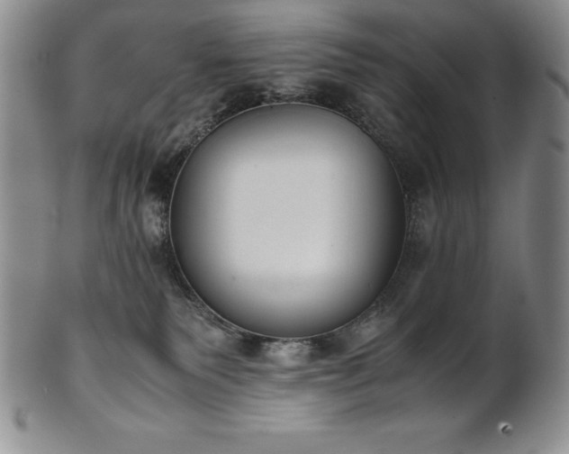 X0000101680135200807171421