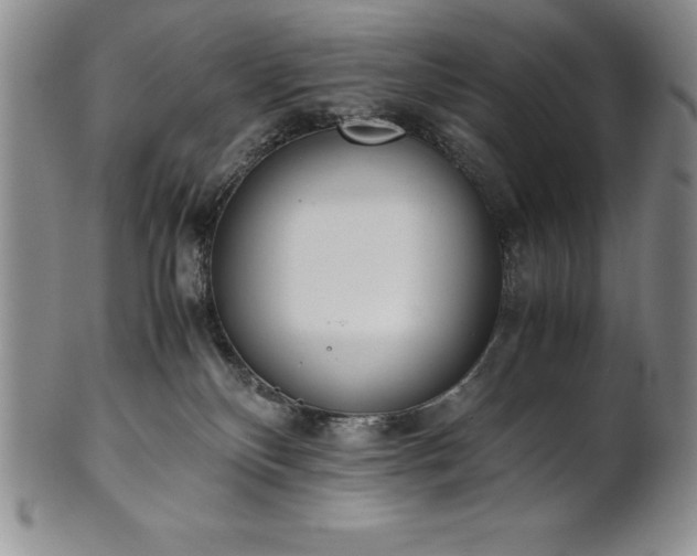 X0000101680136200807171421