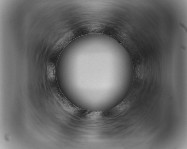 X0000101680138200807171421