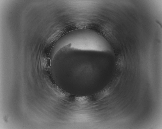 X0000101680139200807171421