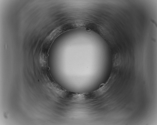 X0000101680140200807171421