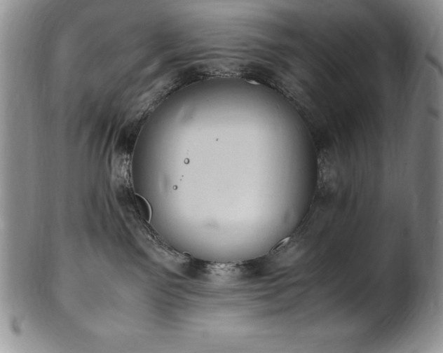 X0000101680141200807171421