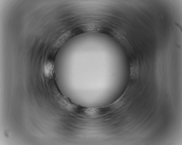 X0000101680142200807171421