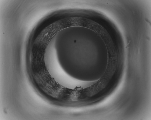 X0000101680143200807171421