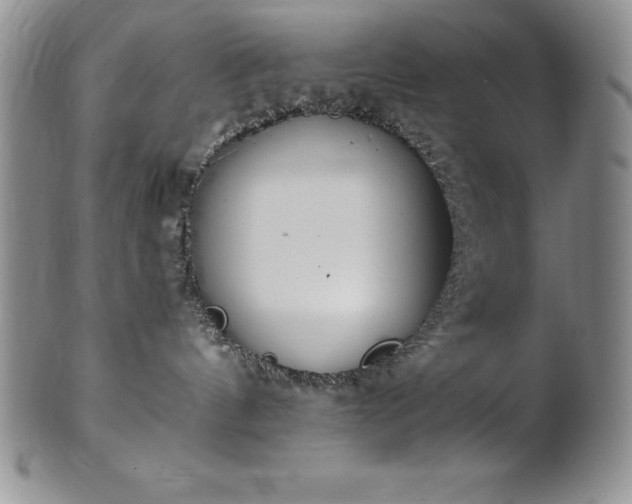 X0000101680144200807171421