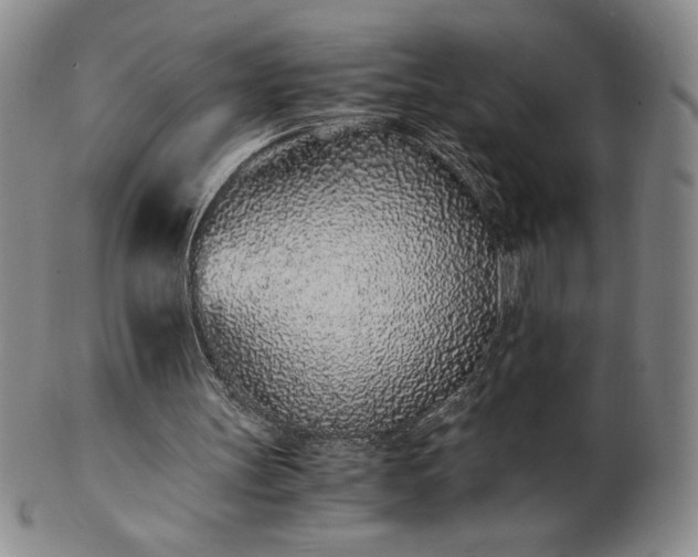 X0000101680147200807171420