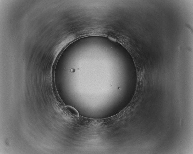 X0000101680148200807171420