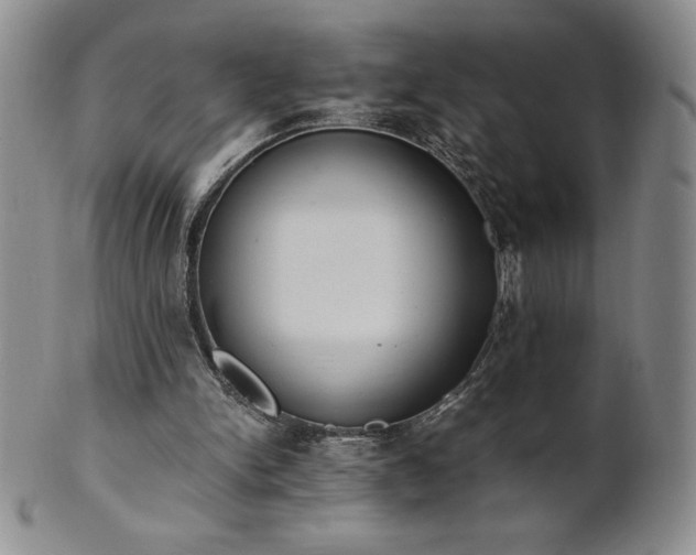 X0000101680150200807171420