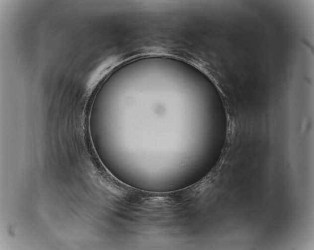 X0000101680151200807171420