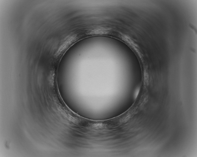 X0000101680153200807171420