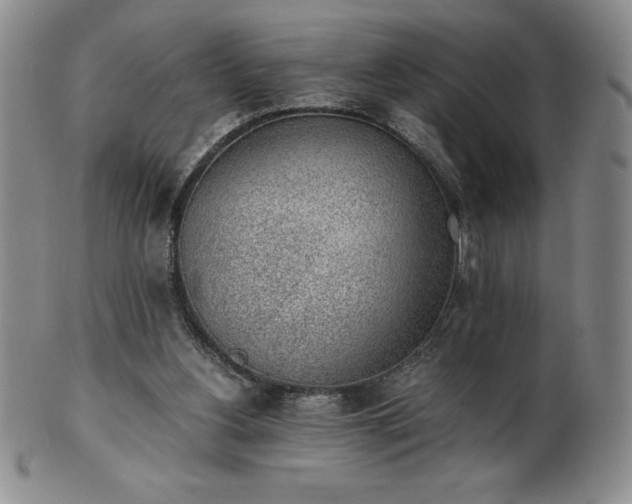 X0000101680156200807171420