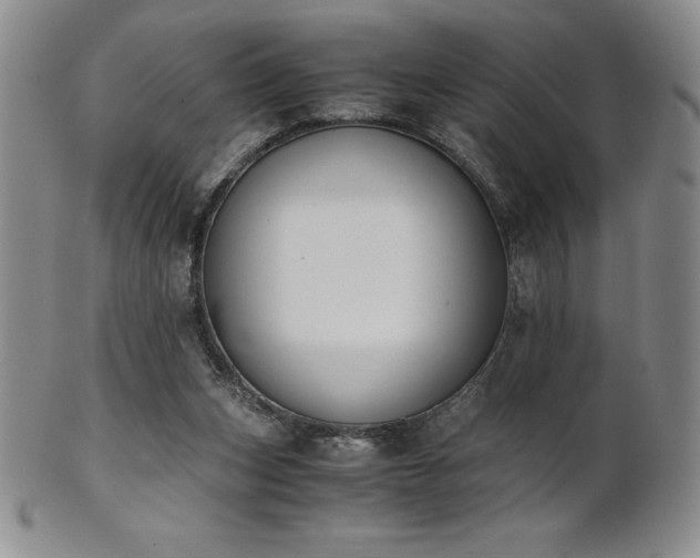 X0000101680159200807171420